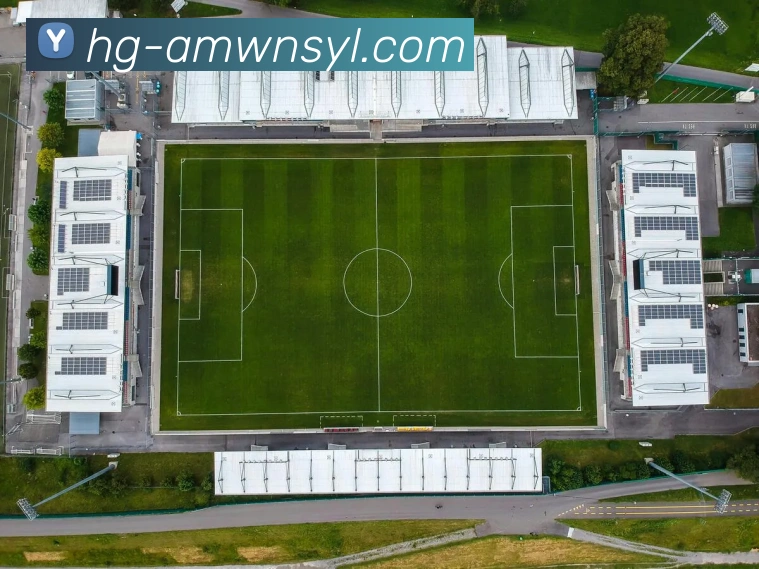 App Interface Preview